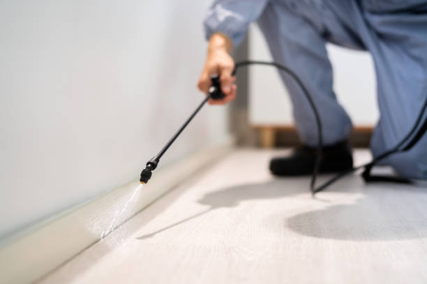 Licensed Fumigation Services service in Topaz Ranch Estates, NV - Nex Pest Control