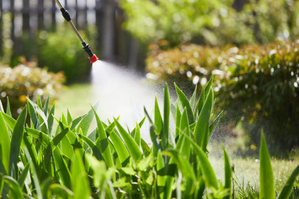 24/7 Emergency Fumigation Services experts in Topaz Ranch Estates, NV