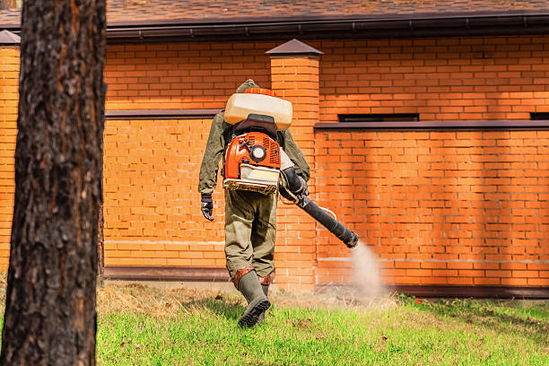 Trusted Cockroach Control service in Topaz Ranch Estates, NV - Nex Pest Control